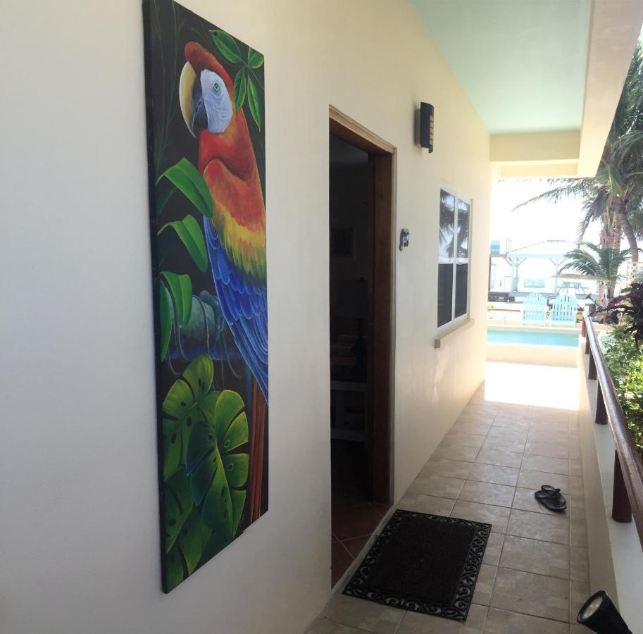 Pura Vida Inn 库尔克岛 外观 照片