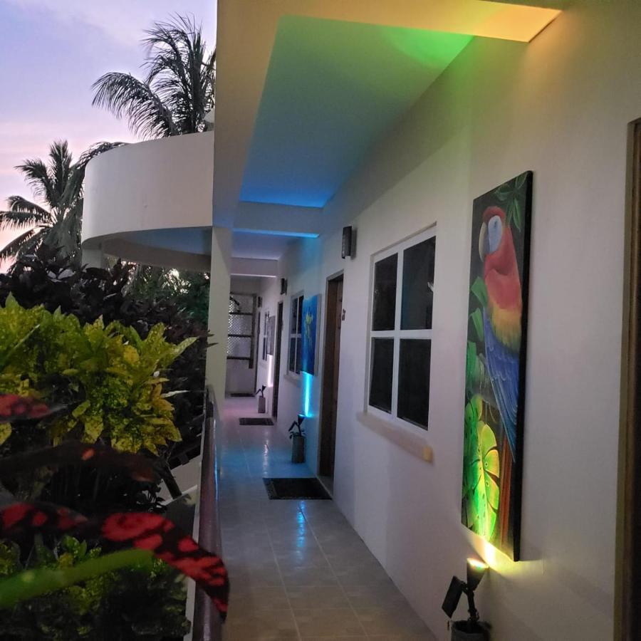 Pura Vida Inn 库尔克岛 外观 照片
